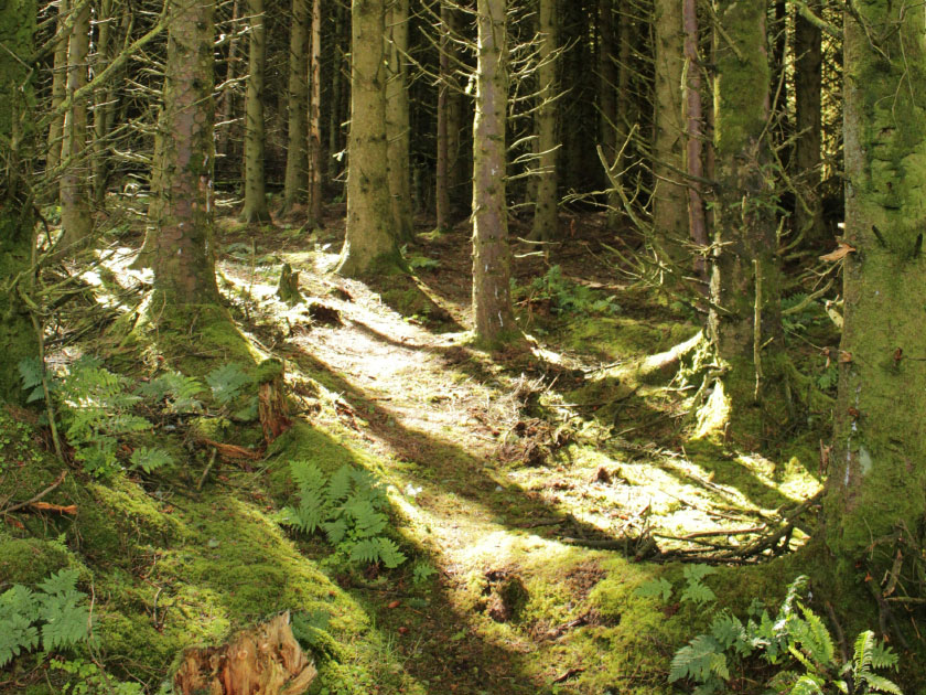 Location Image