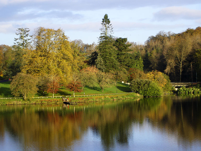 Dungannon