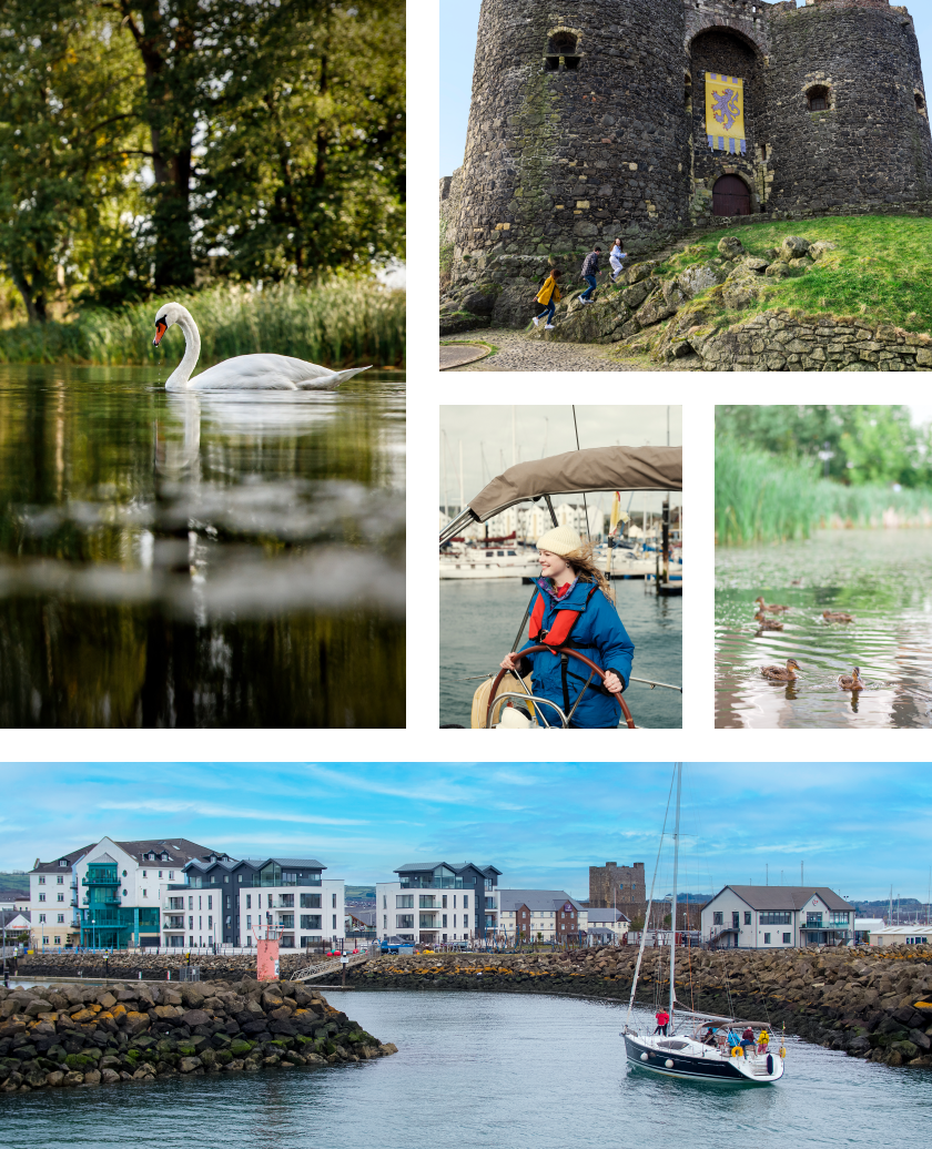 Bashford Gate, Carrickfergus