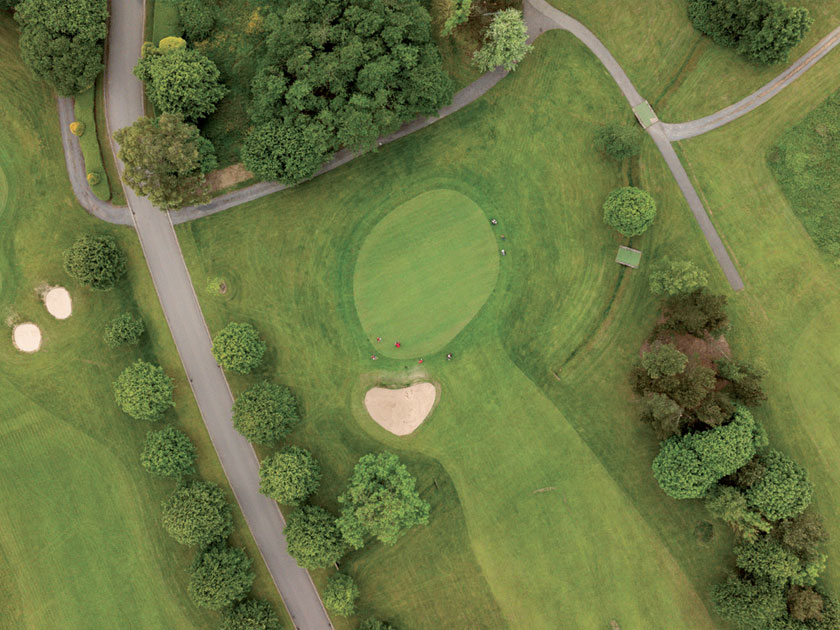 The Meadows, Carryduff